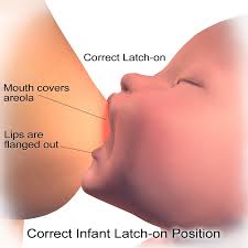 correct infant latch